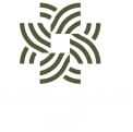 pixelquestnest.com